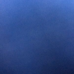 Meet your Posher, Carter